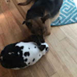 Meet your Posher, Salomi